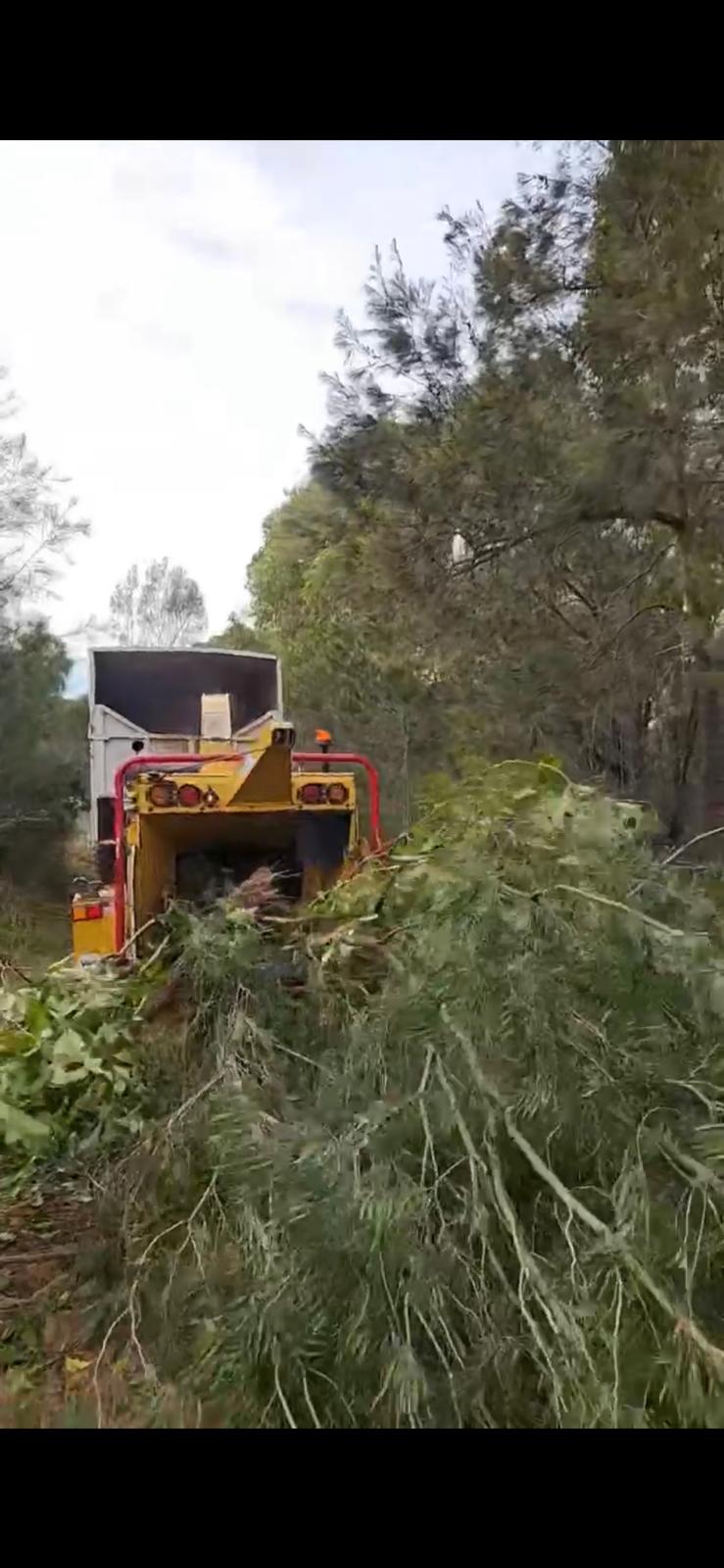 Branches being processed through a wood chipper