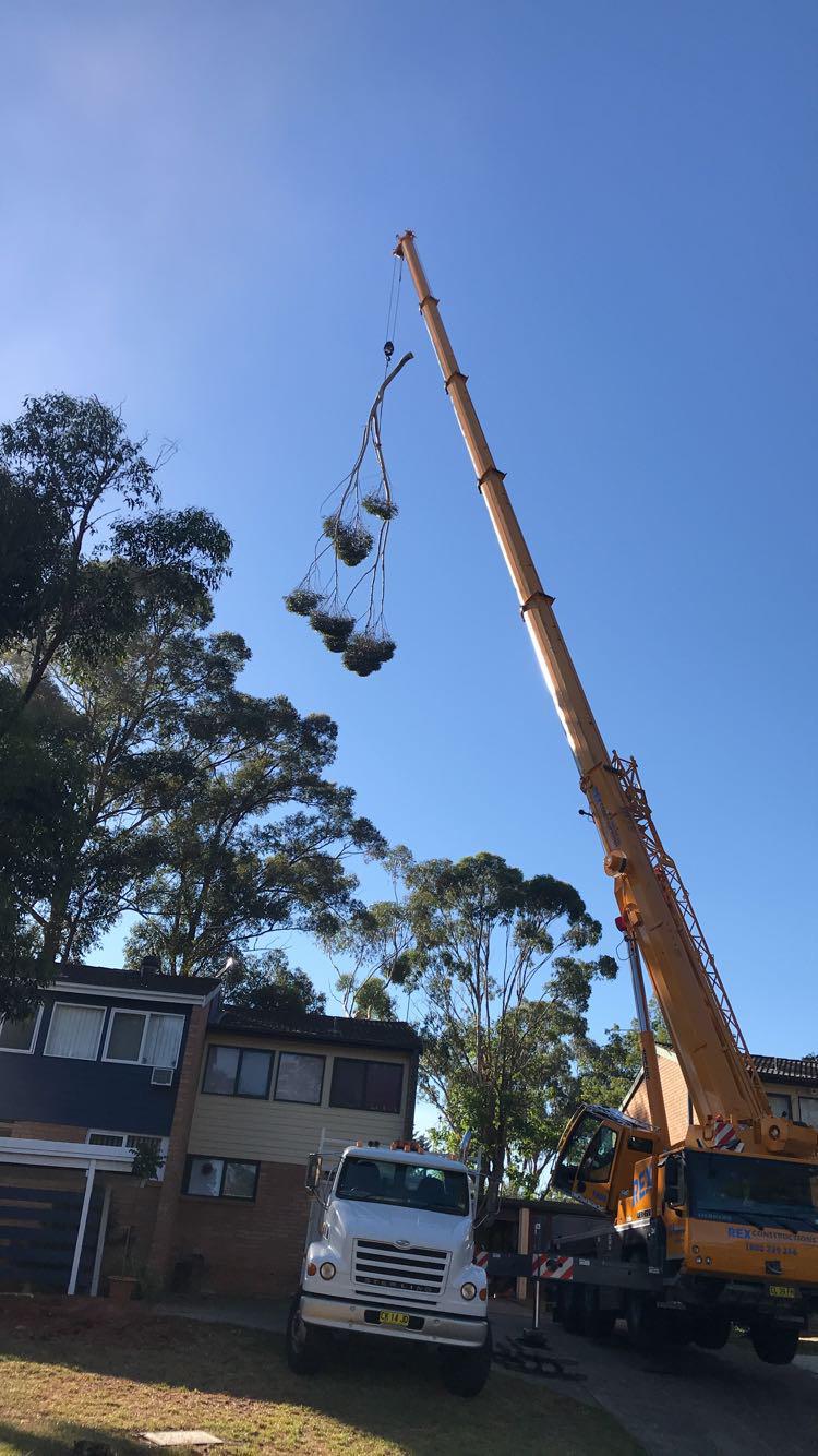 Tree section being lifted safely by crane