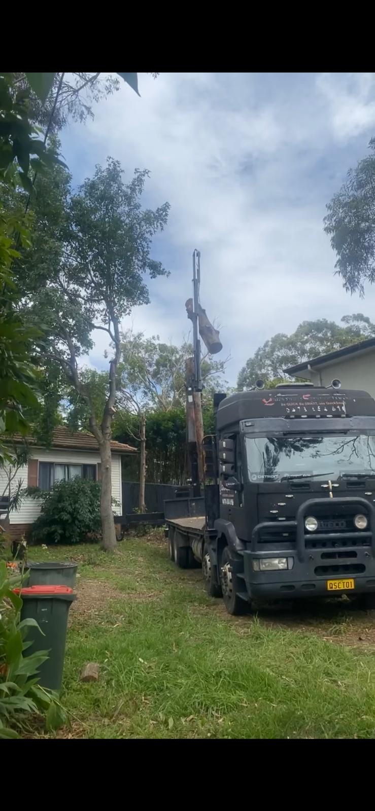 Arbor Pro tree crew and work truck on site