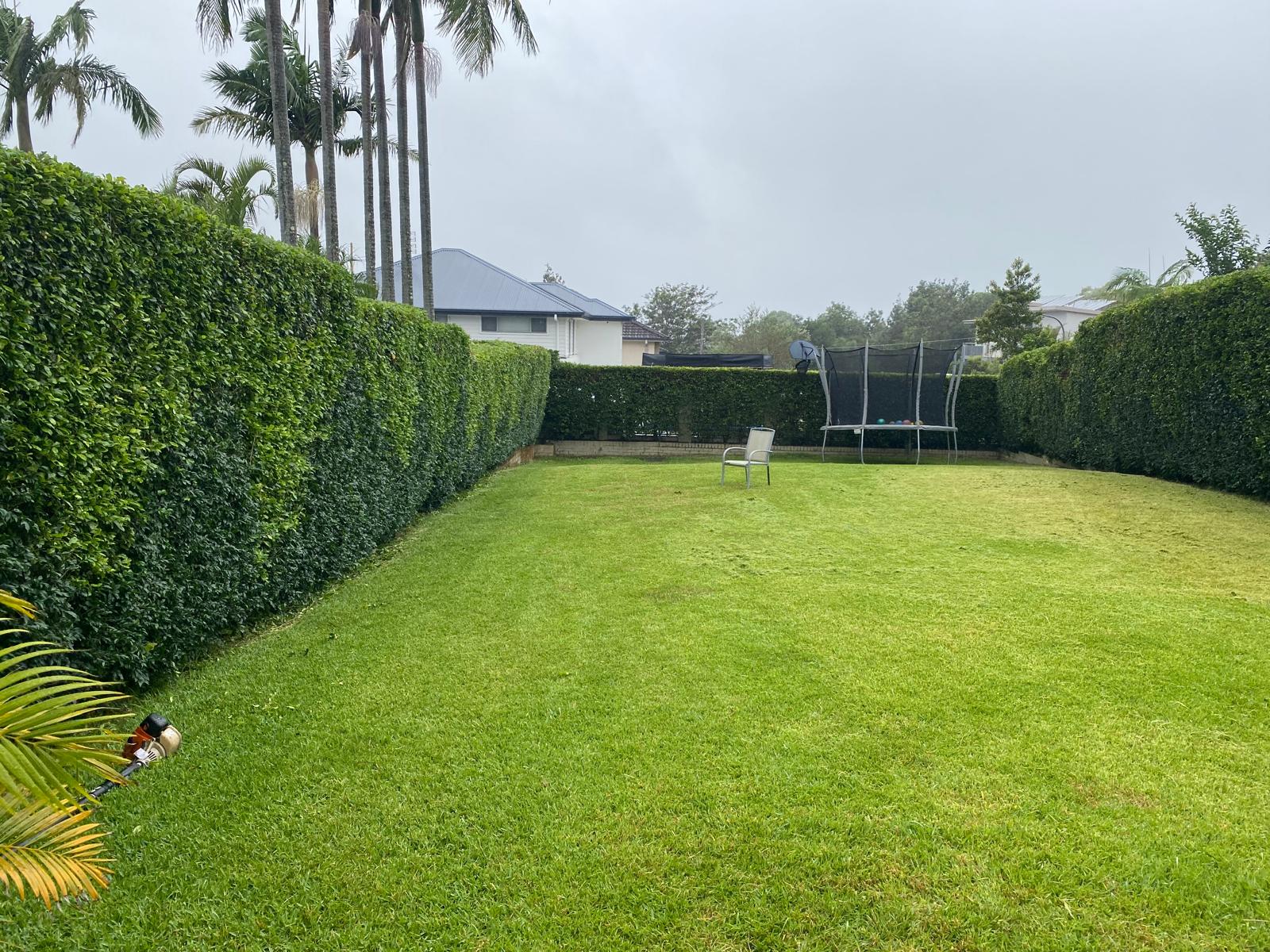 Clean lawn after completed Arbor Pro tree work