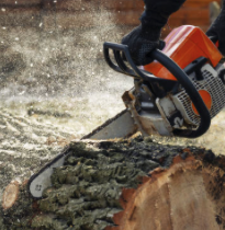 Chainsaw action